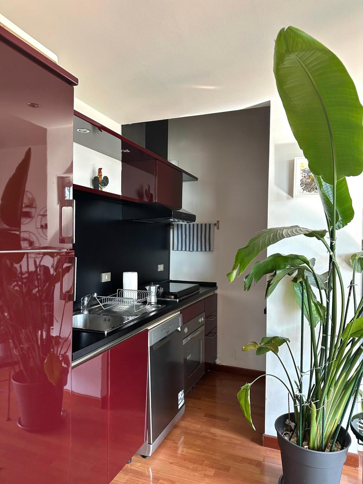 Appartement Urban Jungle - Attico Vista Duomo *