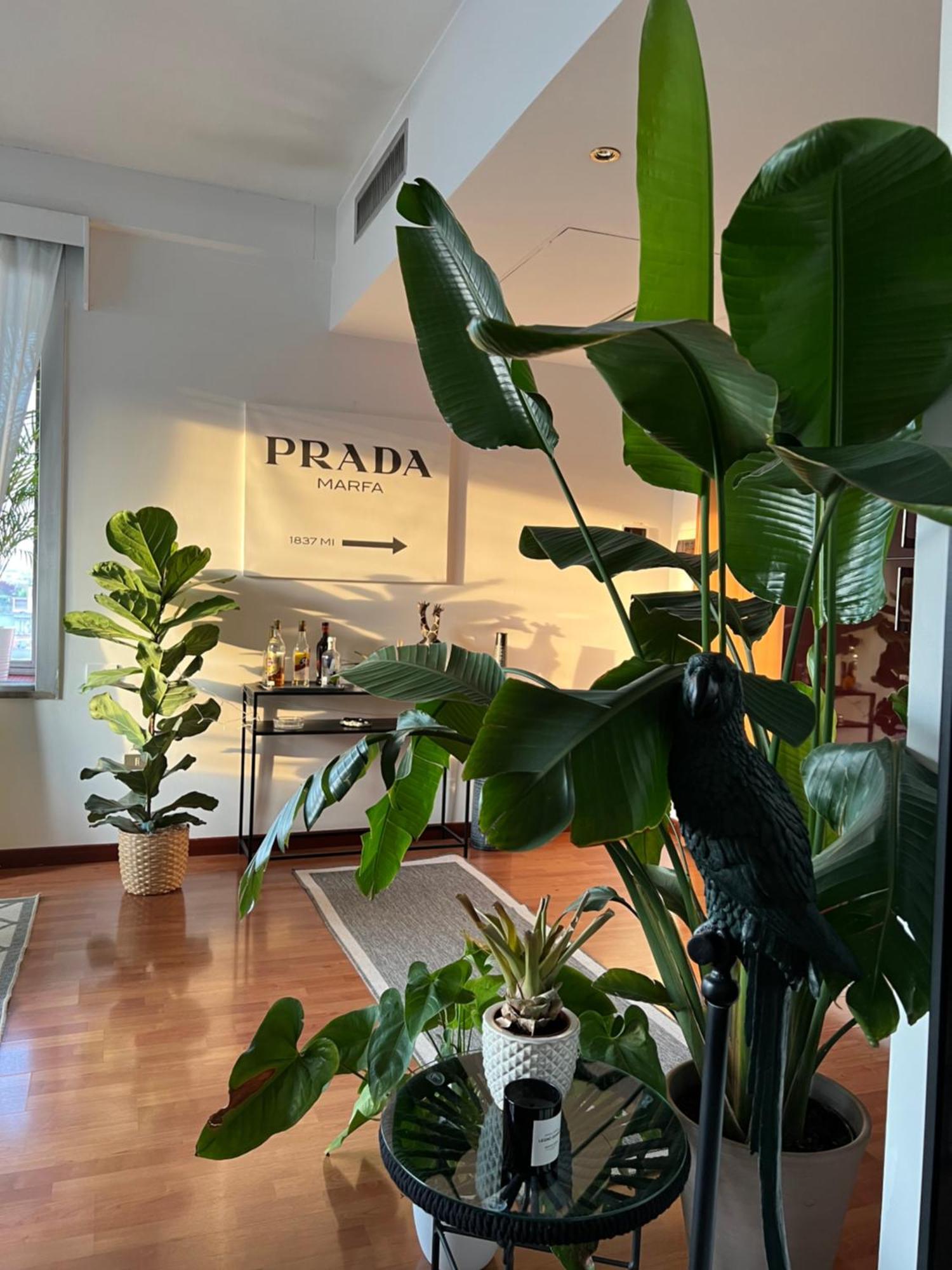 Appartement Urban Jungle - Attico Vista Duomo *